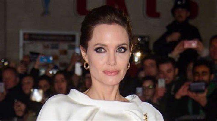 Is Angelina Jolie Running for Office?