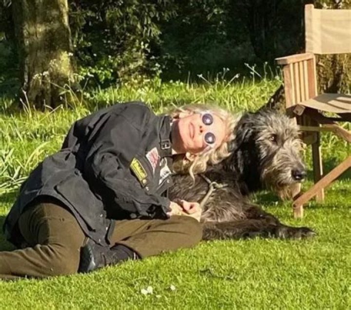 Sting Pets - Celebrity Pets